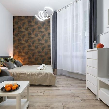 Charming Apartment In Calm And Central Area 克拉科夫 外观 照片