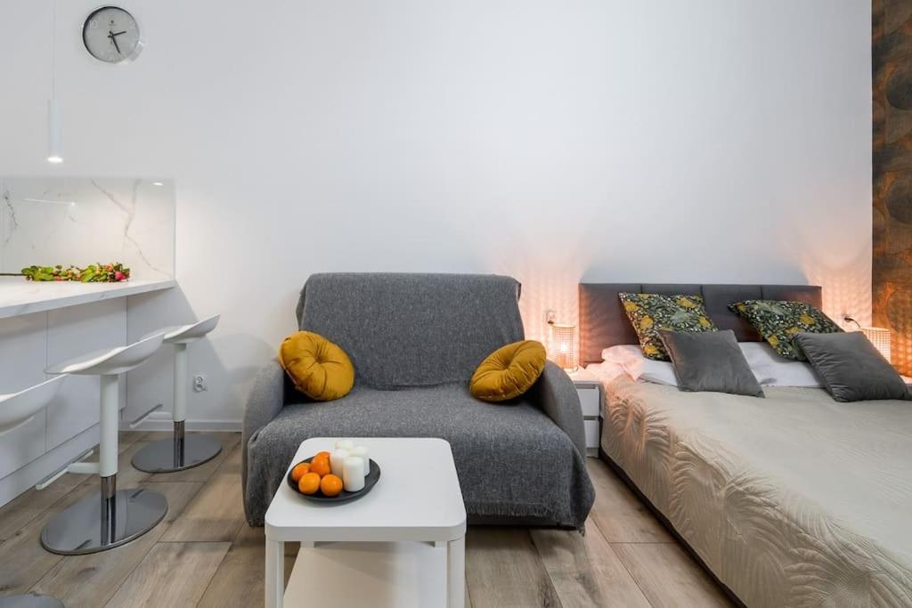 Charming Apartment In Calm And Central Area 克拉科夫 外观 照片